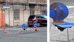 Dal furgone cade uno sciame d'api: incrocio bloccato da sette ore 