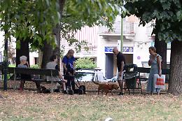Non c’è spazio per Fido: alla ricerca di fondi perduti
