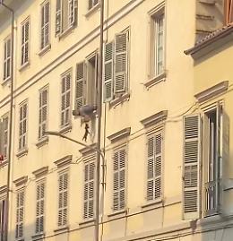 Gattino bloccato su un cornicione in Vanchiglia: salvato dai vigili del fuoco (VIDEO)