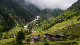 Non solo turismo: il progetto "Una Giornata in Alpeggio" che fa bene al territorio