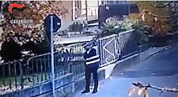 Petardi e finte divise per truffare gli anziani: banda torinese smascherata dopo otto colpi - IL VIDEO