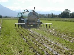Sospeso l'obbligo di comunicazione preventiva per lo spandimento dei liquami in Piemonte: una decisione che solleva le imprese agricole