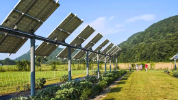 Un campo fotovoltaico delle Ferrovie a Trofarello. «Maxi, ma meno del previsto»