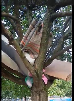 Al parco il salottino "appeso" a un albero