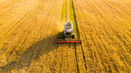 Confagricoltura Piemonte lancia l'allarme: «PRQA insostenibile, a rischio le aziende agricole»