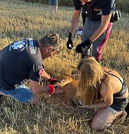 Capriolo ferito sulla statale, salvato dalla polizia stradale