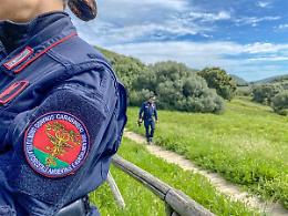 Busca, il Maira prosciugato da una manovra umana: strage di fauna acquatica