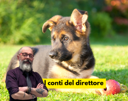 Storia di Patata (e del business milionario delle "staffette")