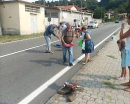 Castellamonte: camion perde il carico di viti e chiodi, i passanti intervengono per ripulire la strada
