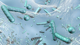 Focolaio di legionella a New York: 5 morti ad Harlem
