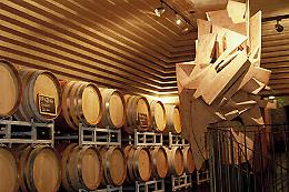 Vino invenduto e vendemmia abbondante: il paradosso che preoccupa il settore