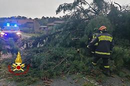 Temporali e vento forte in Piemonte: alberi abbattuti e tetti danneggiati nel Vercellese