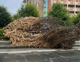 Meteo, forte temporale su Torino. Temperature crollate di 10 gradi in 5 minuti
