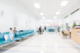 Italia prima in Europa per casi di West Nile: si registrano l'82% dei contagi e il 100% dei decessi totali