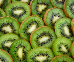 Piemonte, allarme Coldiretti: il caldo anomalo mette in crisi i kiwi con impianti al collasso