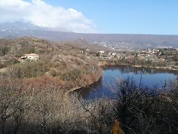 Gamberi killer e animali “strani”: la nuova fauna dei laghi piemontesi