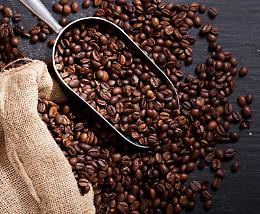 Torino, dal 2026 il primo master universitario dedicato al caffè