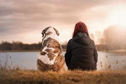 Cani e padroni si assomigliano per davvero, lo conferma la scienza