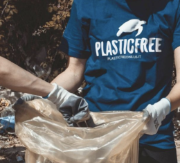 A Torino la Circoscrizione 5 spinge per un quartiere più sostenibile
