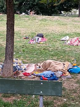 Toilette a cielo aperto: l'uso multi tasking dei Giardini