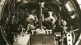 Quando i cani volarono nello spazio