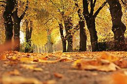 Autunno alle porte: quando inizia davvero la nuova stagione