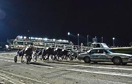 Vinovo riapre con il Gran Premio Marangoni, una grande festa popolare all'ippodromo