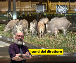 Spariamo ai cinghiali (anche) in città? Il caso a Torino