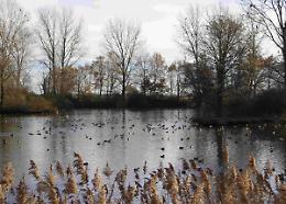 "Proteggiamo la natura con la cultura": riparte il programma dell'Ente Parco Ticino