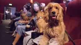 Cinema dog friendly: la nuova tendenza arriva anche in Italia (e a Torino)