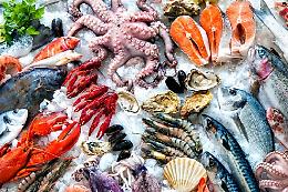 Dopo l’estate boom di consumi di pesce tra gli italiani