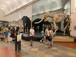 Record di ingressi al Museo di Scienze Naturali di Torino: 46.000 visitatori ad agosto