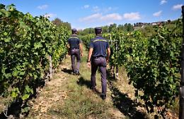 Asti e Canelli, scoperto lavoro “in nero” tra vigne e ristoranti: 10 denunce e multe per 120mila euro