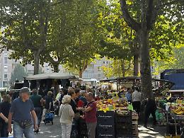 Dal mercato di Mirafiori la voce dei cittadini: «I cinghiali? Problema da risolvere, non da abbattere»