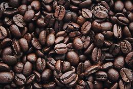 Illycaffè entra nel mercato delle macchine da caffè: acquisita l’80% di Capitani