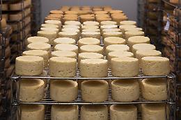 I formaggi segreti del Piemonte: un tesoro tra le Valli