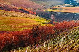 Vivi il Foliage in Piemonte: ecco i luoghi da non perdere
