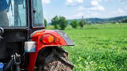 Alba, trattore si ribalta dopo la vendemmia: uva in carreggiata