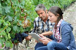 Diventa esperto di vino con AIS: il corso arriva a Susa