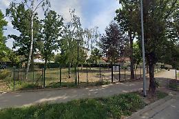 Bocconi avvelenati a Trofarello: chiusa l'area cani di via Garibaldi