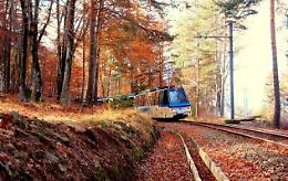Il Treno del Foliage: l’autunno in Piemonte corre sui binari
