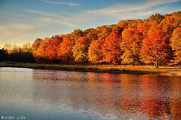 Foliage in Piemonte: cos’è, e quando ammirare i paesaggi autunnali