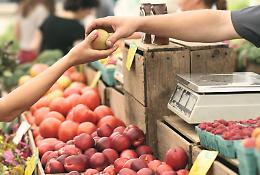Ortofrutta cuneese 2025: bilancio positivo per un comparto da 400 milioni di euro