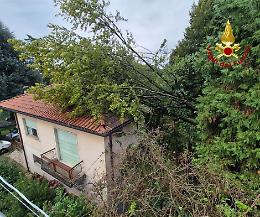 Casa colpita da un albero in provincia di Novara: vigili del fuoco al lavoro per ore