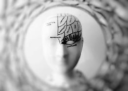 L’intelligenza non ha età: lo studio che ridisegna i picchi cognitivi