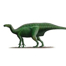 Nuovo dinosauro scoperto in Portogallo: l’italiano Filippo Bertozzo tra i protagonisti