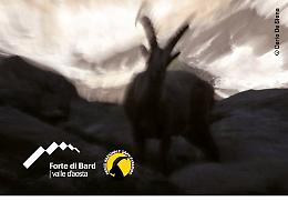 Mostra fotografica “Oltre lo Scatto” al Forte di Bard