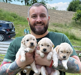 Una «Legge 104 per gli animali»: la proposta rivoluzionaria dalla provincia torinese