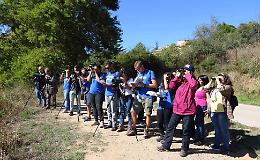 Vivi il grande spettacolo della migrazione: il 4 ottobre una giornata di birdwatching aperto a tutti