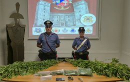 Aveva 24 piante di marijuana in casa: 69enne arrestato nel Cuneese